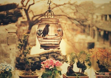 長期失眠、晚上睡不著需警惕！睡眠障礙危害大