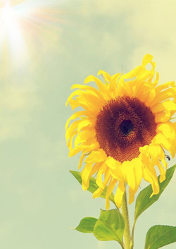 晚上睡不著原因